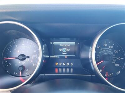 2019 Ford Mustang EcoBoost   - Photo 48 - Fountain Hills, AZ 85268