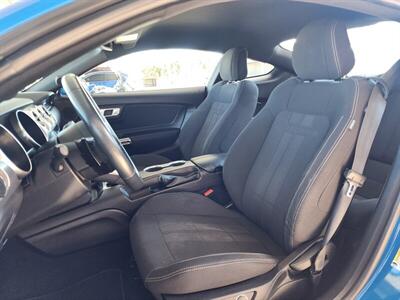 2019 Ford Mustang EcoBoost   - Photo 25 - Fountain Hills, AZ 85268