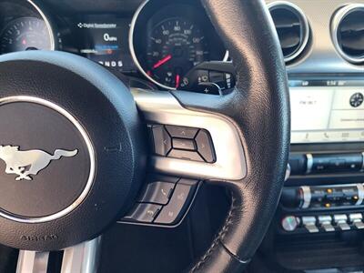 2019 Ford Mustang EcoBoost   - Photo 31 - Fountain Hills, AZ 85268