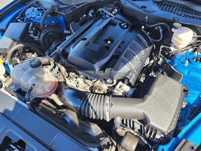2019 Ford Mustang EcoBoost   - Photo 11 - Fountain Hills, AZ 85268