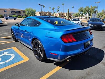 2019 Ford Mustang EcoBoost   - Photo 5 - Fountain Hills, AZ 85268