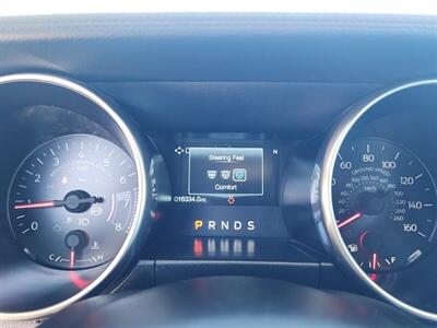 2019 Ford Mustang EcoBoost   - Photo 49 - Fountain Hills, AZ 85268