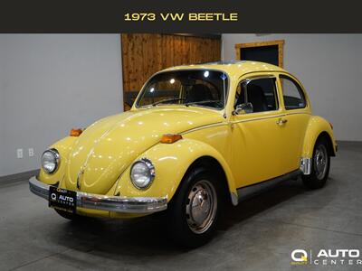 1973 Volkswagen Beetle Sedan