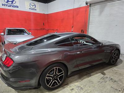 2019 Ford Mustang EcoBoost Premium   - Photo 5 - Miami, FL 33155