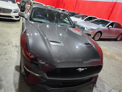 2019 Ford Mustang EcoBoost Premium   - Photo 6 - Miami, FL 33155