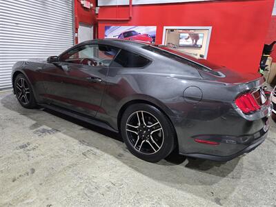 2019 Ford Mustang EcoBoost Premium   - Photo 4 - Miami, FL 33155