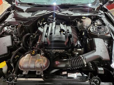 2019 Ford Mustang EcoBoost Premium   - Photo 20 - Miami, FL 33155