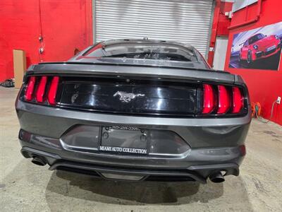 2019 Ford Mustang EcoBoost Premium   - Photo 7 - Miami, FL 33155