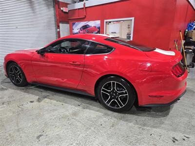 2020 Ford Mustang EcoBoost Premium - Photo 3 - Miami, FL 33155