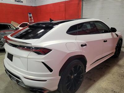 2019 Lamborghini Urus   - Photo 3 - Miami, FL 33155