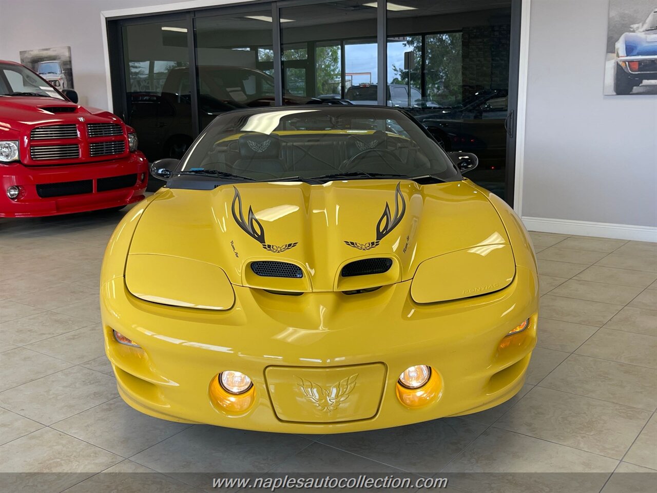 2002 Pontiac Firebird Trans Am  Collectors Edition - Photo 4 - Fort Myers, FL 33967