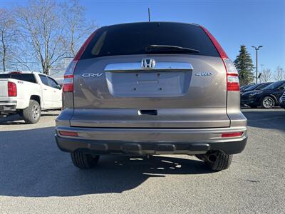 2010 Honda CR-V EX-L   - Photo 5 - Framingham, MA 01702