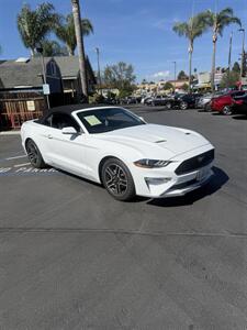 2019 Ford Mustang EcoBoost Premium - Photo 3 - Fallbrook, CA 92028