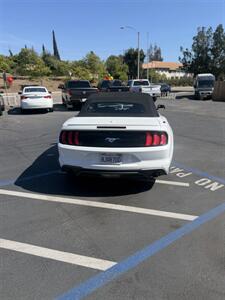 2019 Ford Mustang EcoBoost Premium - Photo 6 - Fallbrook, CA 92028