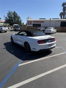 2019 Ford Mustang EcoBoost Premium - Photo 7 - Fallbrook, CA 92028