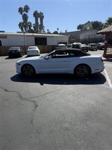 2019 Ford Mustang EcoBoost Premium - Photo 8 - Fallbrook, CA 92028