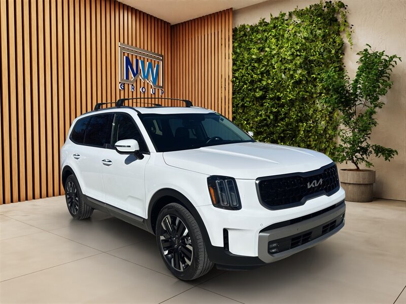 2025 Kia Telluride SX.  6k  miles, Sunroof, Amazing Shape! Fully Loaded!