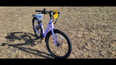  VELOTRIC BREEZE   - Photo 7 - Aurora, MO 65605