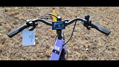  VELOTRIC BREEZE   - Photo 10 - Aurora, MO 65605