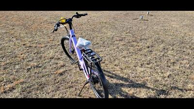  VELOTRIC BREEZE   - Photo 5 - Aurora, MO 65605