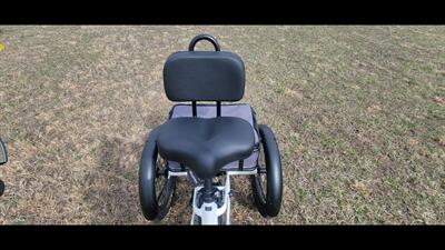  Velotric Triker   - Photo 9 - Aurora, MO 65605