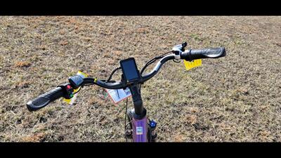  Aipas C1 Express   - Photo 9 - Aurora, MO 65605