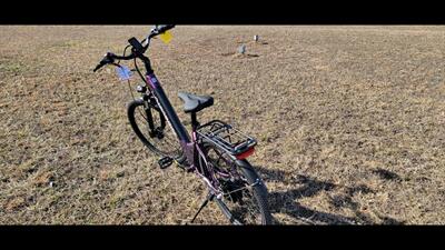  Aipas C1 Express   - Photo 5 - Aurora, MO 65605