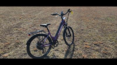  Aipas C1 Express   - Photo 6 - Aurora, MO 65605