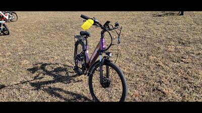  Aipas C1 Express   - Photo 7 - Aurora, MO 65605