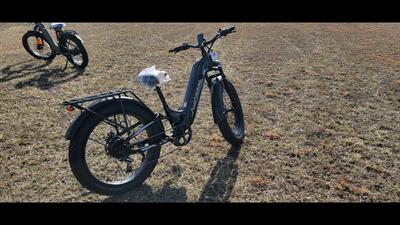 AIPAS M1 PRO EXTERRAIN - Photo 6 - Aurora, MO 65605