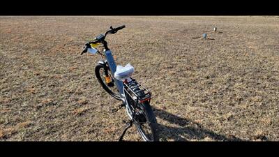  VELOTRIC DISCOVER 2 Large   - Photo 6 - Aurora, MO 65605