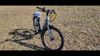  VELOTRIC BREEZE   - Photo 7 - Aurora, MO 65605