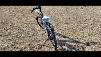  VELOTRIC BREEZE   - Photo 5 - Aurora, MO 65605