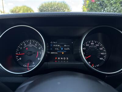2019 Ford Mustang EcoBoost   - Photo 12 - Stanton, CA 90680