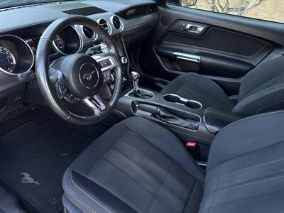 2019 Ford Mustang EcoBoost   - Photo 8 - Stanton, CA 90680