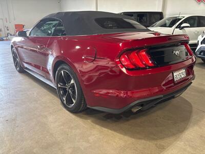 2019 Ford Mustang EcoBoost   - Photo 6 - Orange, CA 92867