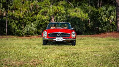 1968 Mercedes Benz 250SL SL   - Photo 5 - Boca Raton, FL 33432