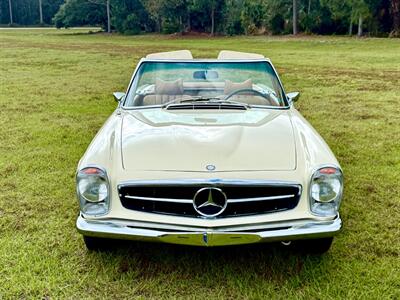 1969 Mercedes Benz 280SL SL   - Photo 4 - Boca Raton, FL 33432