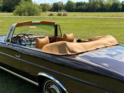 1971 Mercedes Benz 280SE SE   - Photo 35 - Boca Raton, FL 33432