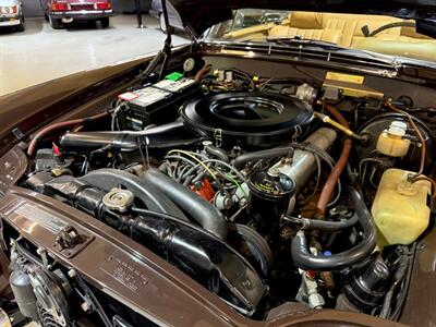 1971 Mercedes Benz 280SE SE   - Photo 40 - Boca Raton, FL 33432