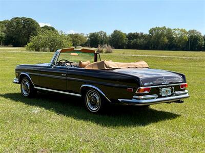 1971 Mercedes Benz 280SE SE   - Photo 9 - Boca Raton, FL 33432