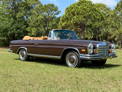 1971 Mercedes Benz 280SE SE   - Photo 3 - Boca Raton, FL 33432