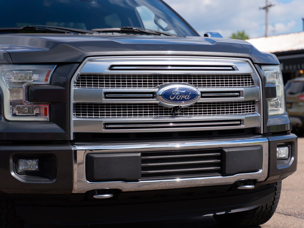 2016 Ford F-150 Platinum   - Photo 9 - Washington, MI 48094