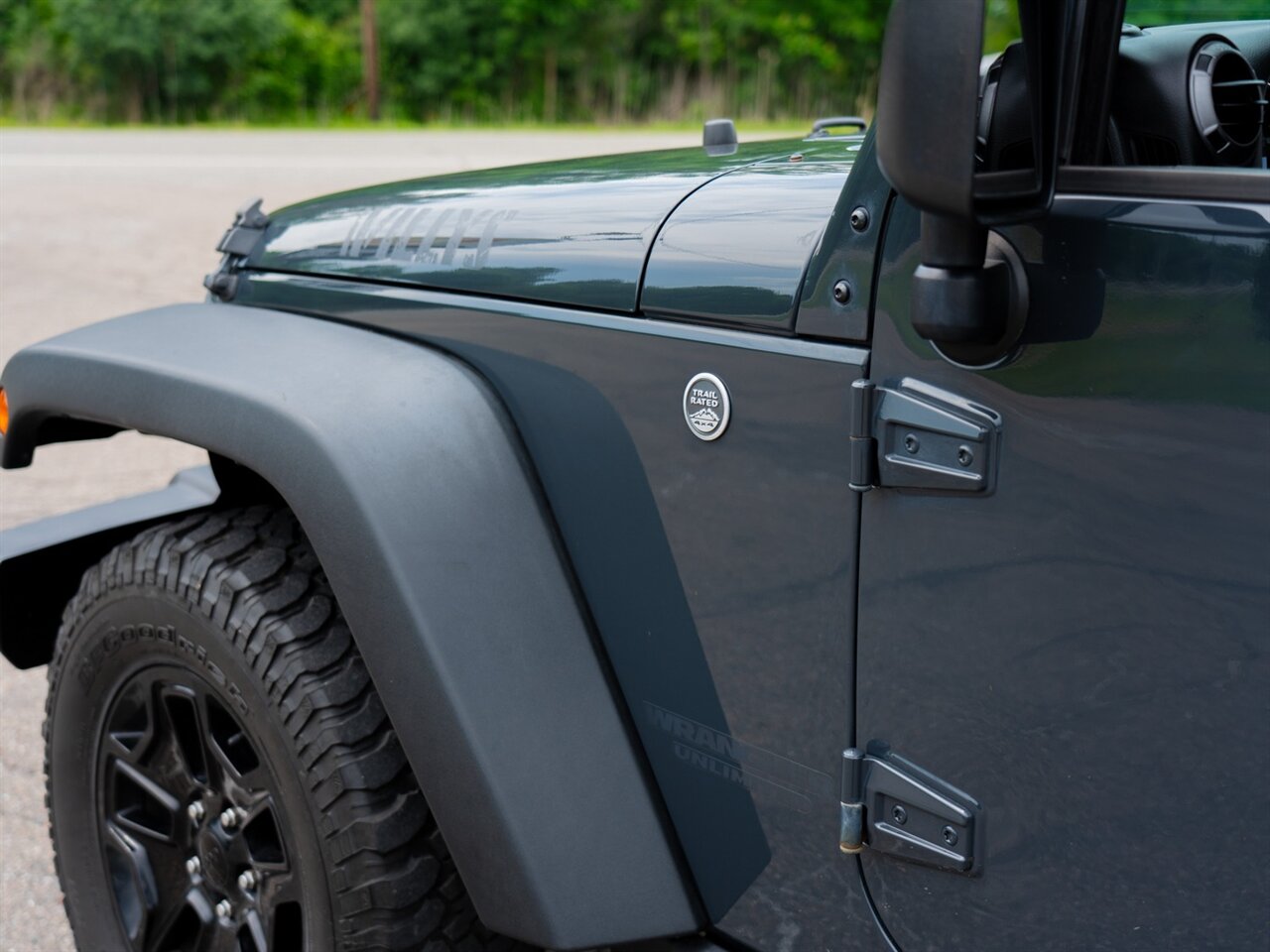 2017 Jeep Wrangler Unlimited Willys Wheeler - Photo 11 - Washington, MI 48094
