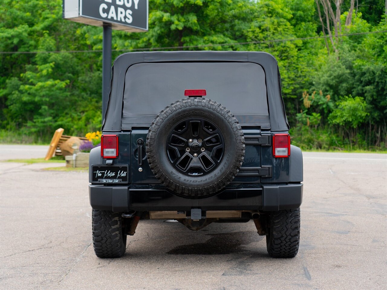 2017 Jeep Wrangler Unlimited Willys Wheeler - Photo 6 - Washington, MI 48094