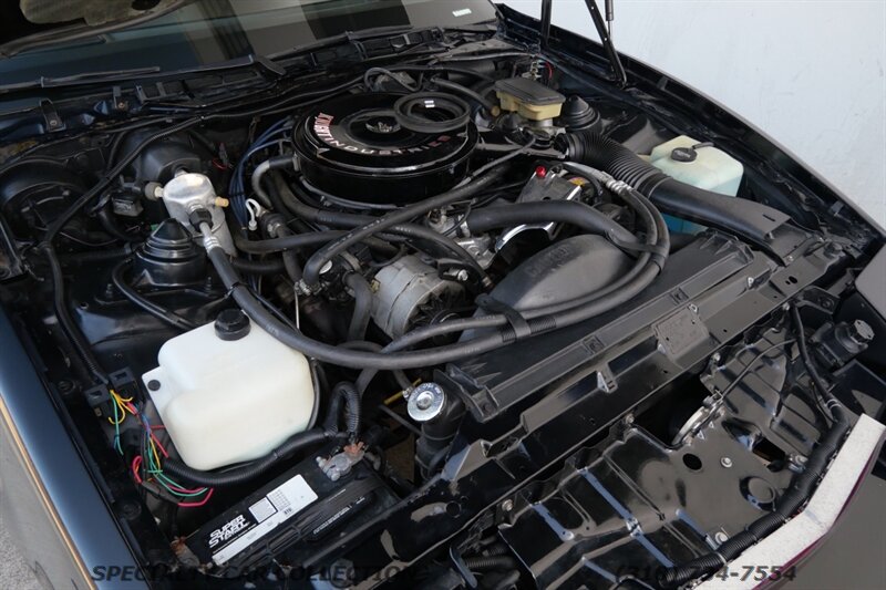 1982 Pontiac Firebird Trans Am   - Photo 37 - West Hollywood, CA 90069