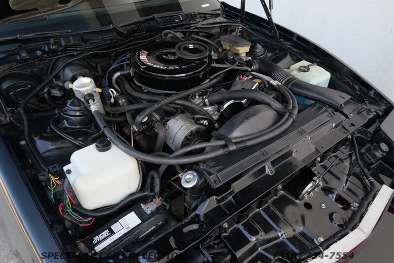 1982 Pontiac Firebird Trans Am - Photo 36 - West Hollywood, CA 90069