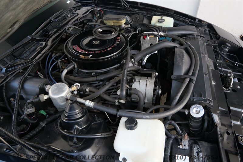 1982 Pontiac Firebird Trans Am - Photo 37 - West Hollywood, CA 90069