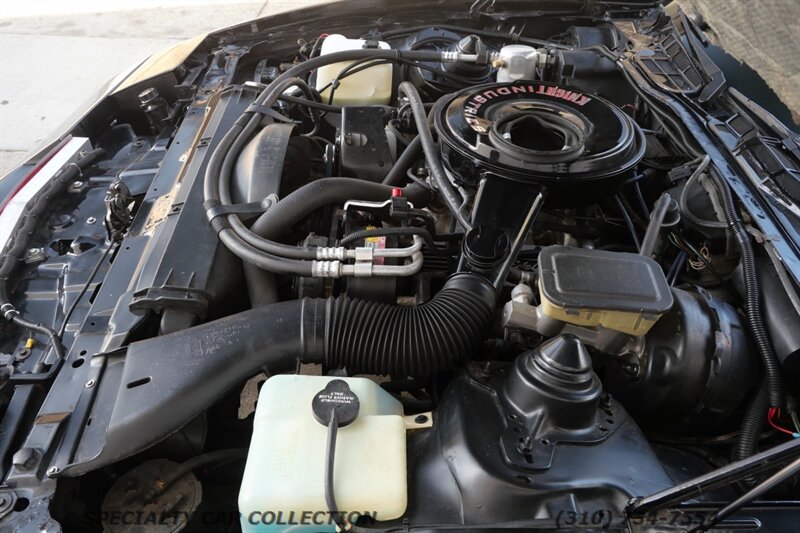 1982 Pontiac Firebird Trans Am - Photo 35 - West Hollywood, CA 90069