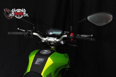 2024 Benelli TNT 135   - Photo 6 - Las Vegas, NV 89146